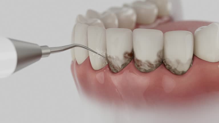 Reliable Dental contractor in Fishersville, VA by Dentist Open Now